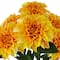 19" Dahlia Bush by Ashland®